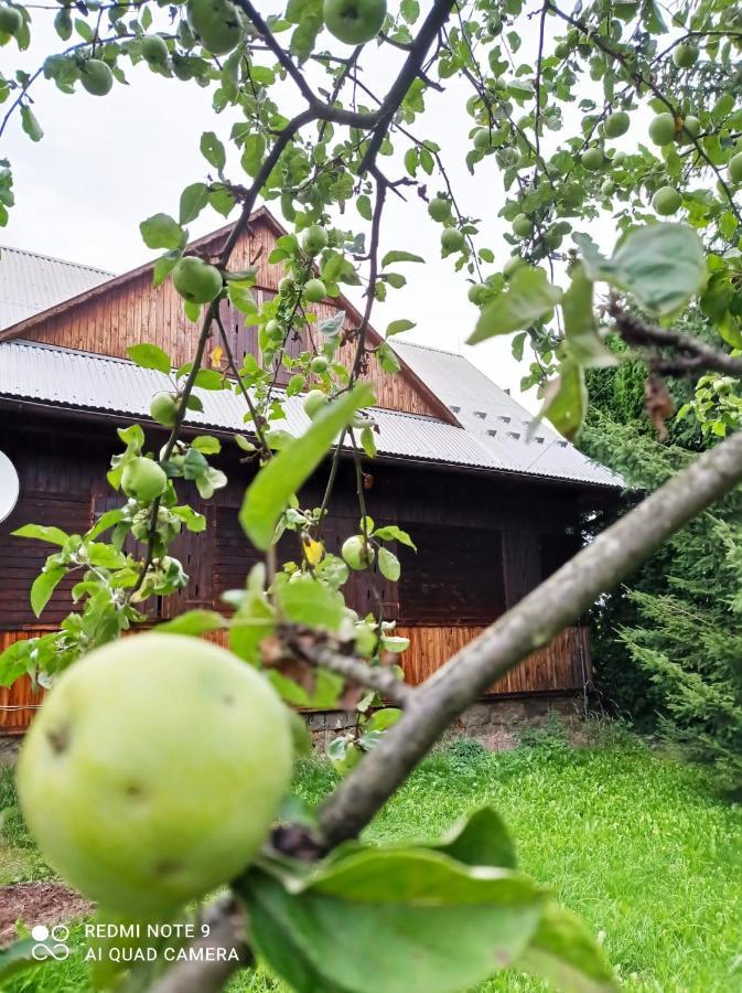 Gospodarstwo Agroturystyczne U Stasikow Spytkowice  Exterior photo